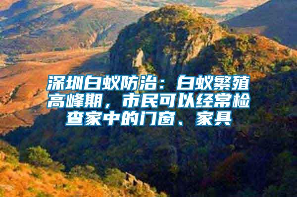 深圳白蟻防治：白蟻繁殖高峰期，市民可以經常檢查家中的門窗、家具