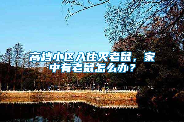 高檔小區入住滅老鼠，家中有老鼠怎么辦？