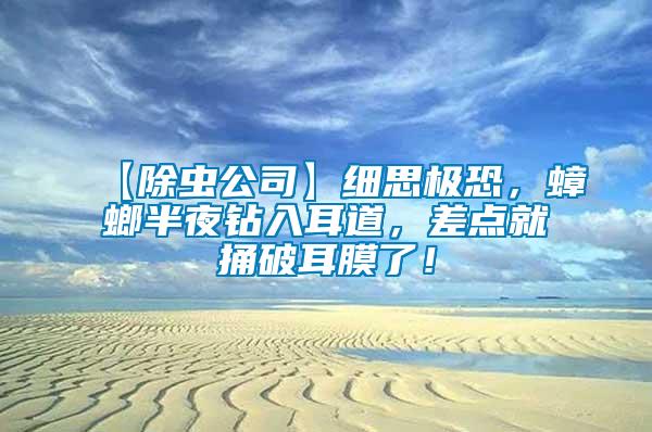 【除蟲公司】細思極恐，蟑螂半夜鉆入耳道，差點就捅破耳膜了！