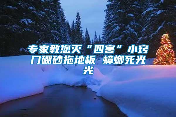 專家教您滅“四害”小竅門(mén)硼砂拖地板 蟑螂死光光