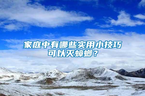 家庭中有哪些實用小技巧可以滅蟑螂？