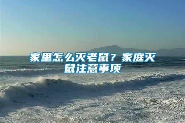 家里怎么滅老鼠？家庭滅鼠注意事項