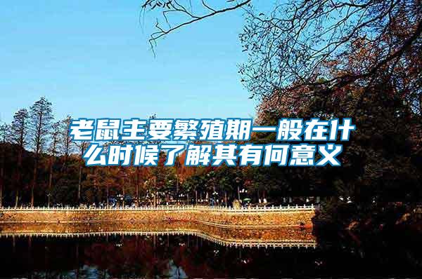 老鼠主要繁殖期一般在什么時(shí)候了解其有何意義