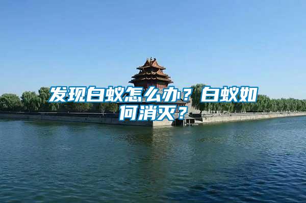 發(fā)現(xiàn)白蟻怎么辦？白蟻如何消滅？