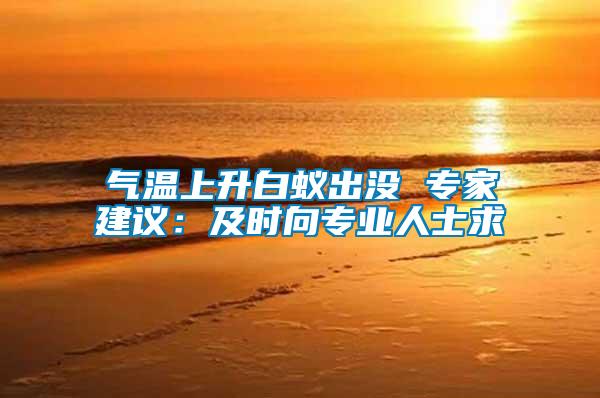 氣溫上升白蟻出沒 專家建議：及時向專業人士求