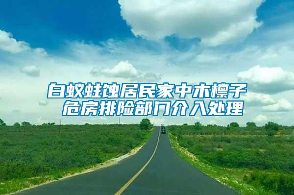 白蟻蛀蝕居民家中木檁子 危房排險(xiǎn)部門(mén)介入處理