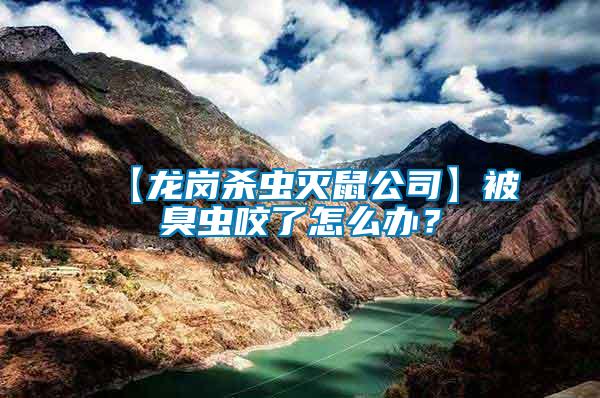 【龍崗殺蟲滅鼠公司】被臭蟲咬了怎么辦？
