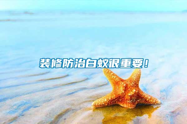 裝修防治白蟻很重要！
