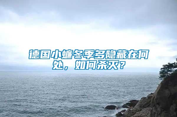 德國小蠊冬季多隱藏在何處，如何殺滅？