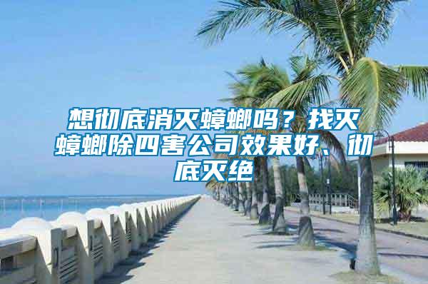 想徹底消滅蟑螂嗎？找滅蟑螂除四害公司效果好、徹底滅絕