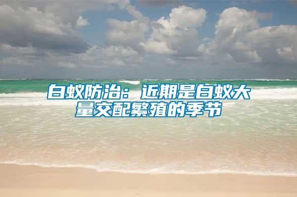 白蟻防治：近期是白蟻大量交配繁殖的季節