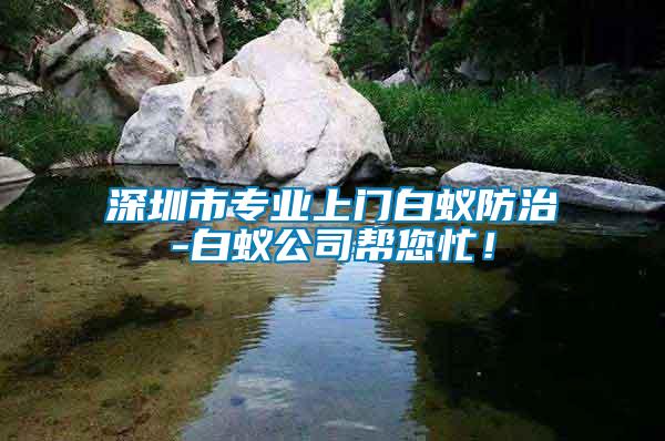 深圳市專業上門白蟻防治-白蟻公司幫您忙！