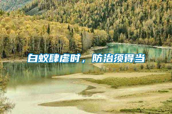 白蟻肆虐時，防治須得當