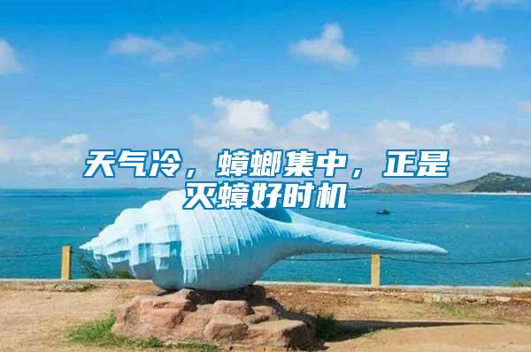 天氣冷，蟑螂集中，正是滅蟑好時機