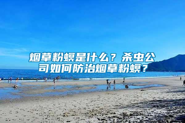煙草粉螟是什么？殺蟲公司如何防治煙草粉螟？