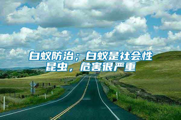 白蟻防治；白蟻是社會(huì)性昆蟲，危害很嚴(yán)重