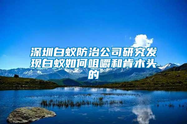 深圳白蟻防治公司研究發現白蟻如何咀嚼和肯木頭的