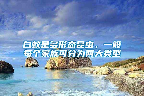 白蟻是多形態昆蟲，一般每個家族可分為兩大類型