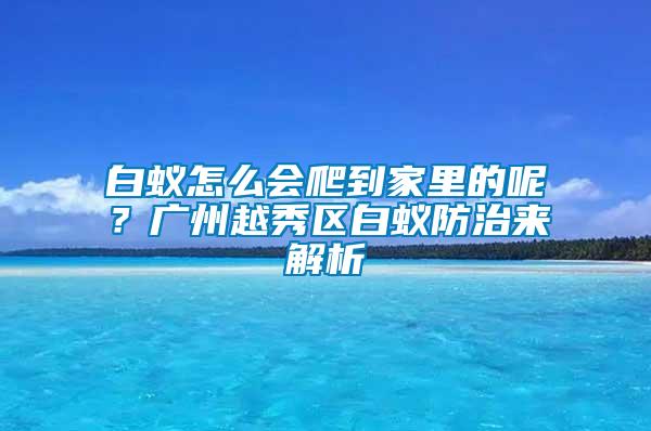 白蟻怎么會爬到家里的呢？廣州越秀區(qū)白蟻防治來解析