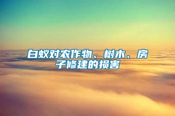 白蟻對農作物、樹木、房子修建的損害