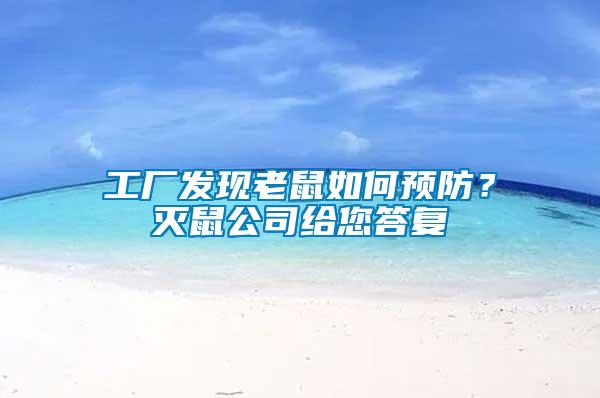 工廠發現老鼠如何預防？滅鼠公司給您答復