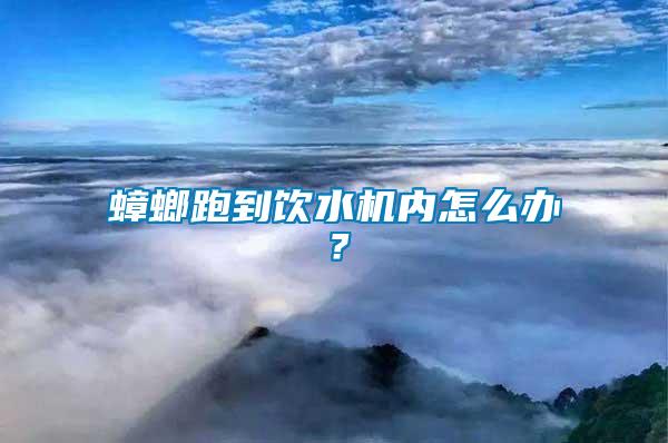 蟑螂跑到飲水機內怎么辦？