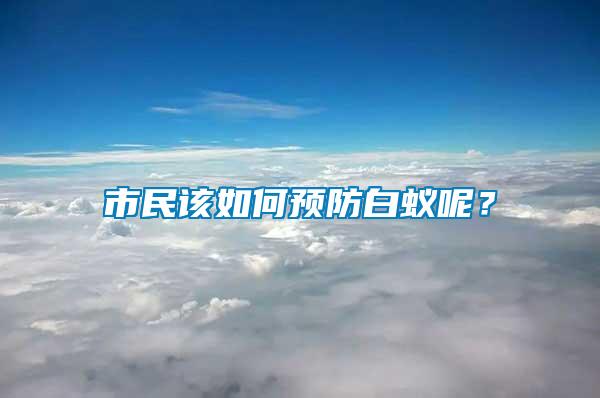 市民該如何預(yù)防白蟻呢？