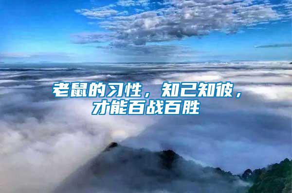 老鼠的習性，知己知彼，才能百戰百勝