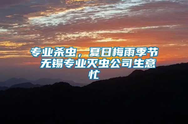 專業殺蟲，夏日梅雨季節 無錫專業滅蟲公司生意忙