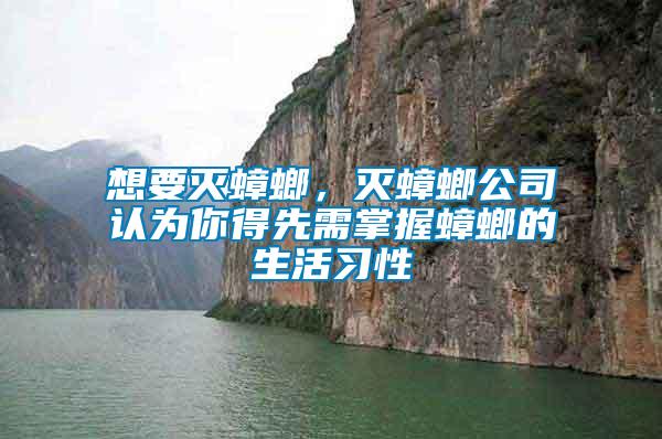 想要滅蟑螂，滅蟑螂公司認為你得先需掌握蟑螂的生活習性