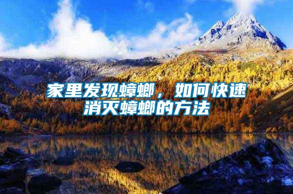 家里發現蟑螂，如何快速消滅蟑螂的方法