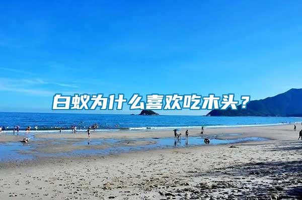 白蟻為什么喜歡吃木頭？