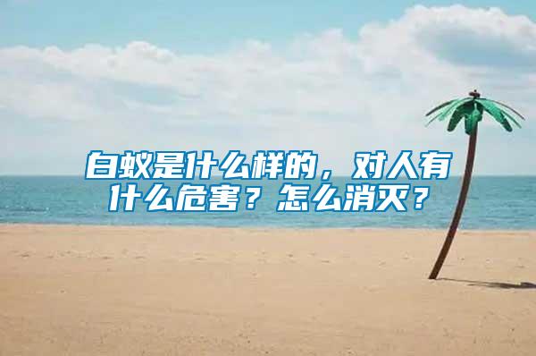 白蟻是什么樣的，對(duì)人有什么危害？怎么消滅？