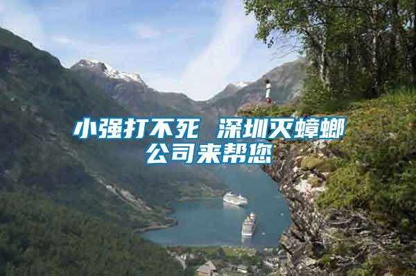 小強打不死 深圳滅蟑螂公司來幫您