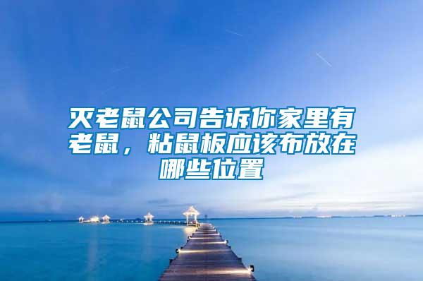 滅老鼠公司告訴你家里有老鼠，粘鼠板應該布放在哪些位置