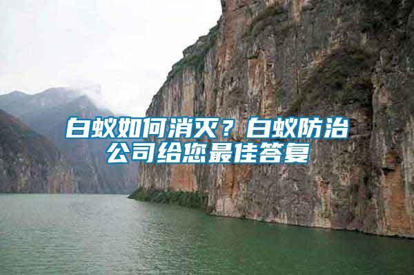 白蟻如何消滅？白蟻防治公司給您最佳答復