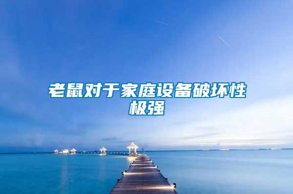 老鼠對于家庭設備破壞性極強