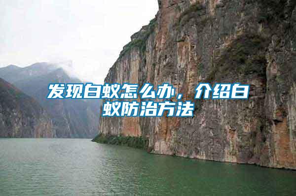 發現白蟻怎么辦，介紹白蟻防治方法