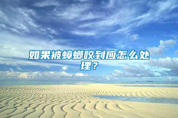 如果被蟑螂咬到應怎么處理？