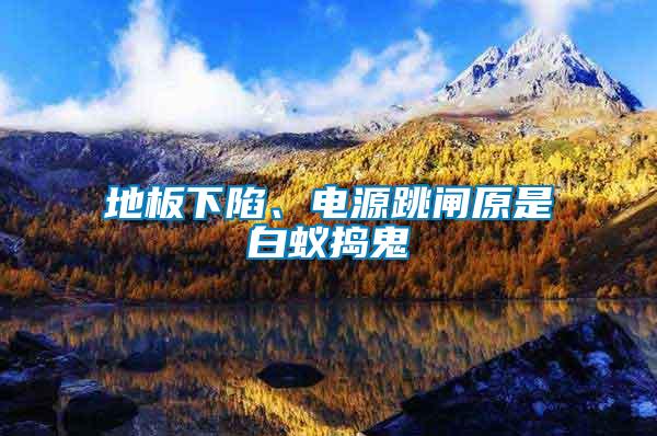 地板下陷、電源跳閘原是白蟻搗鬼