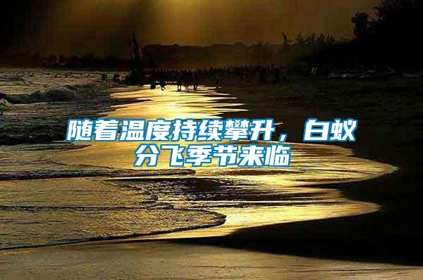 隨著溫度持續攀升，白蟻分飛季節來臨