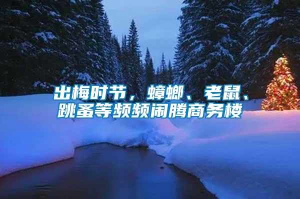 出梅時(shí)節(jié)，蟑螂、老鼠、跳蚤等頻頻鬧騰商務(wù)樓