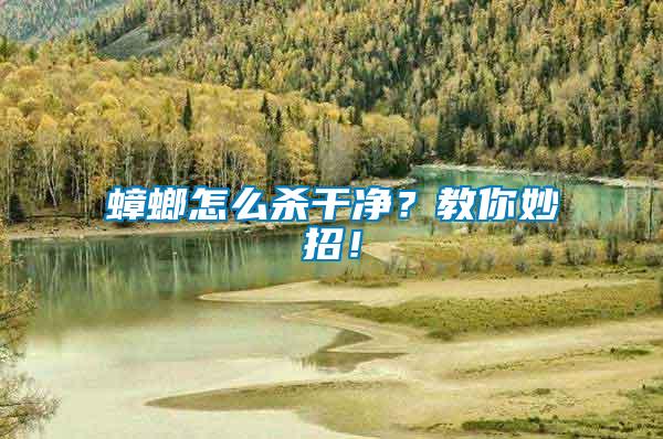 蟑螂怎么殺干凈？教你妙招！