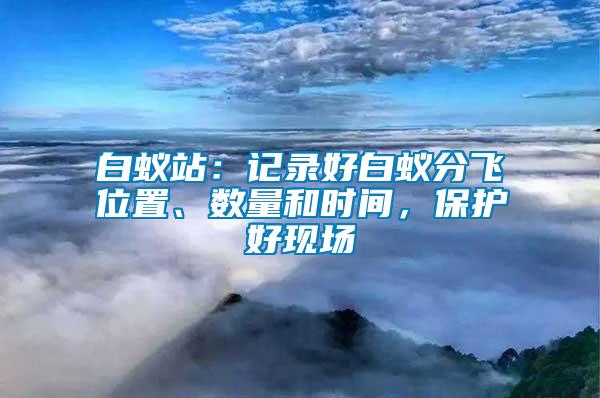 白蟻站：記錄好白蟻分飛位置、數量和時間，保護好現場