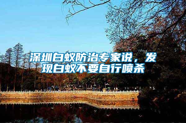 深圳白蟻防治專家說，發(fā)現(xiàn)白蟻不要自行噴殺