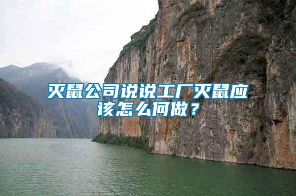 滅鼠公司說說工廠滅鼠應該怎么何做？