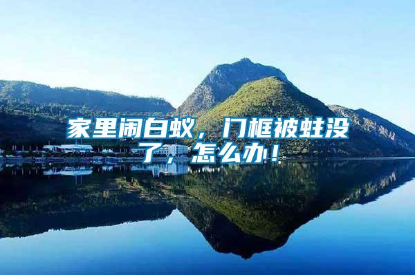 家里鬧白蟻，門框被蛀沒了，怎么辦！