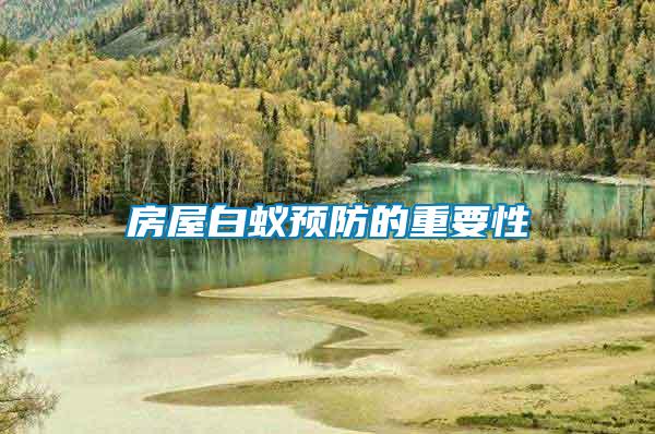 房屋白蟻預防的重要性