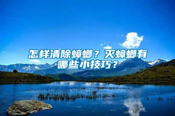 怎樣清除蟑螂？滅蟑螂有哪些小技巧？
