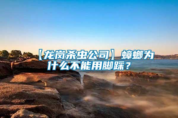 【龍崗殺蟲公司】蟑螂為什么不能用腳踩？